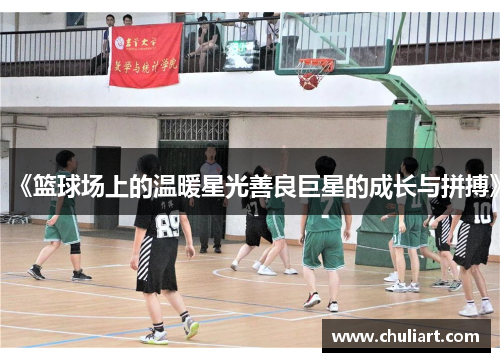 《篮球场上的温暖星光善良巨星的成长与拼搏》